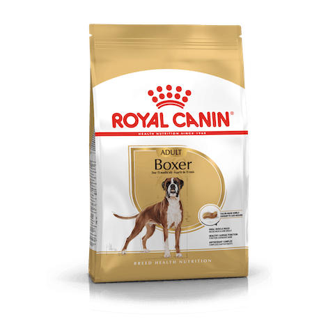 BHN BOXER ADULT TOTO LT