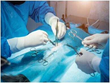 Veterinarinė chirurgija