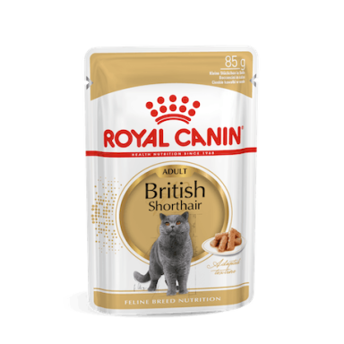 Royal Canin FBN BRITISH SHORTHAIR WET 1.02 KG Royal Canin FBN BRITISH SHORTHAIR WET 1.02 KG