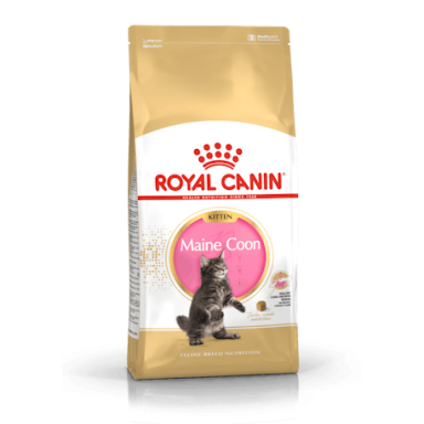 Royal Canin FBN KITTEN MAINE COON Royal Canin FBN KITTEN MAINE COON