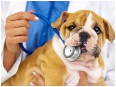 Gyvūnų vakcinacija, skiepai